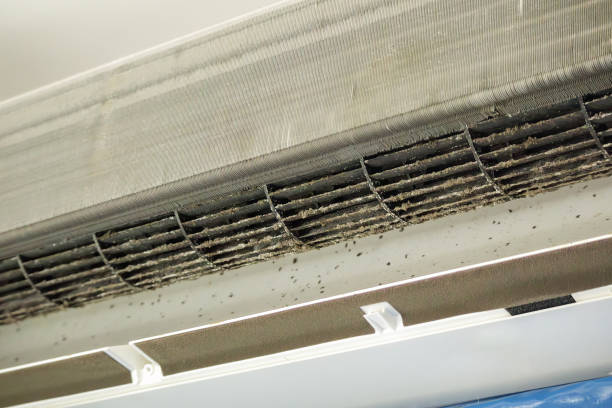 Best Air Duct Inspection  in Marseles, IL